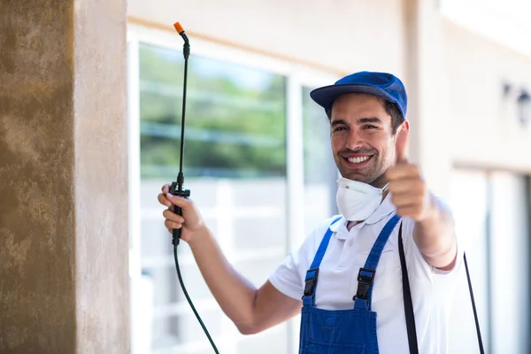Aliso Viejo Wasp Removal