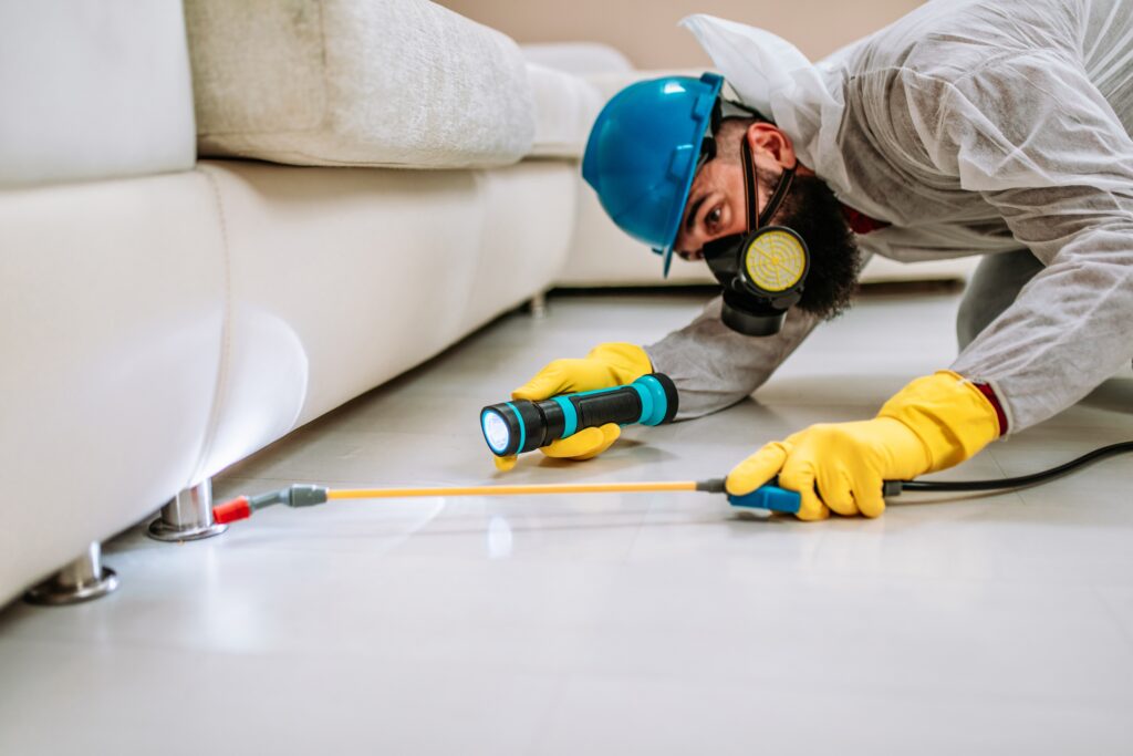 Aliso Viejo Termite Control