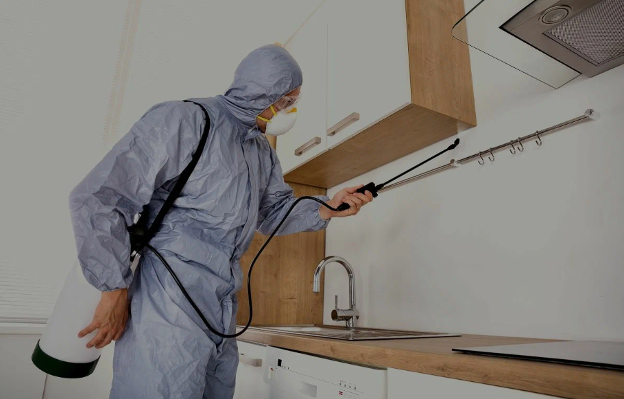 Aliso Viejo pest managment